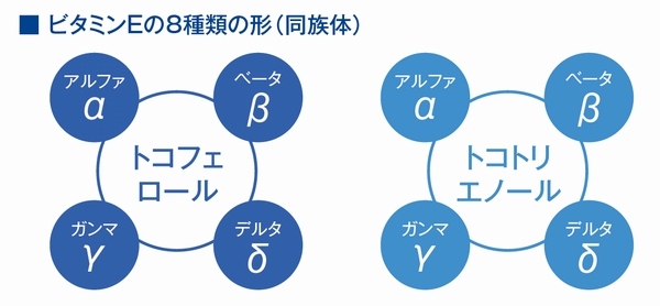 ビタミンEの8種類の形