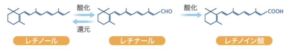 ビタミンＡの補給はレチノールが効果的