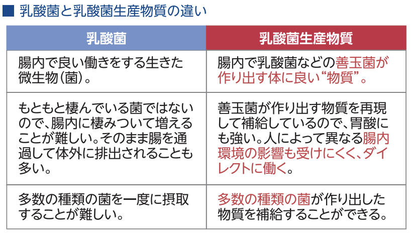 乳酸菌と乳酸菌生産物質の違い