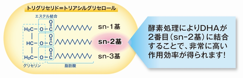 バイオアクティブ型DHAとは?